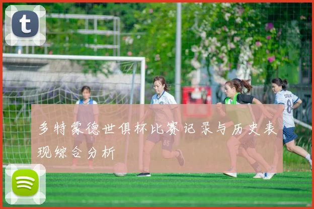 多特蒙德世俱杯比赛记录与历史表现综合分析