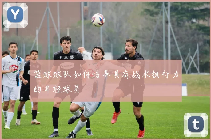 篮球球队如何培养具有战术执行力的年轻球员