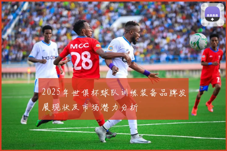 2025年世俱杯球队训练装备品牌发展现状及市场潜力分析