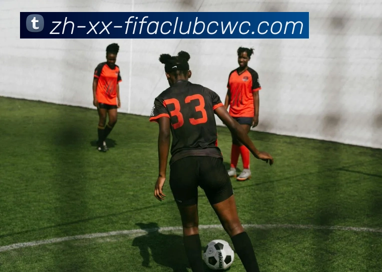 世界杯平台发展历程