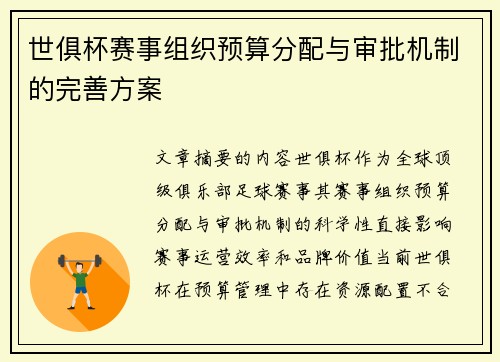 世俱杯赛事组织预算分配与审批机制的完善方案